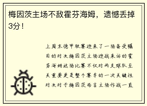 梅因茨主场不敌霍芬海姆，遗憾丢掉3分！